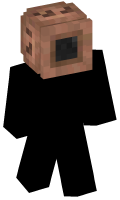 Skinfile