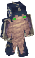 Skinfile