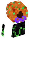 Skinfile