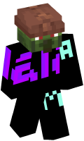 Skinfile