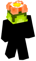 Skinfile