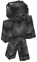 Skinfile