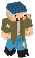 Skinfile