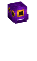 Skinfile