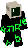 Skinfile