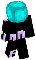 Skinfile