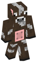 Skinfile
