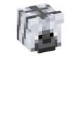 Skinfile