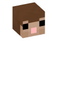 Skinfile