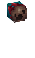 Skinfile