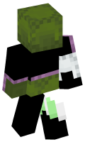 Skinfile