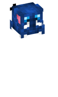 Skinfile