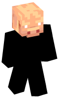 Skinfile