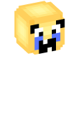 Skinfile