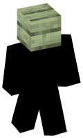Skinfile