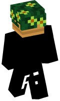 Skinfile