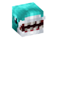 Skinfile