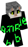 Skinfile