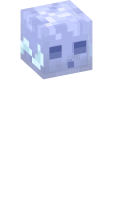 Skinfile