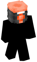 Skinfile