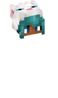 Skinfile