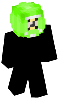 Skinfile