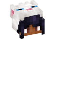 Skinfile