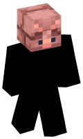 Skinfile