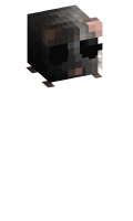 Skinfile