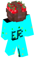 Skinfile