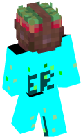 Skinfile