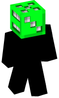 Skinfile