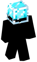 Skinfile