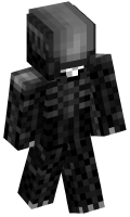 Skinfile