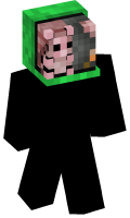 Skinfile