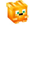 Skinfile