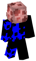 Skinfile