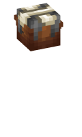 Skinfile