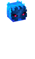 Skinfile