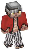 Skinfile