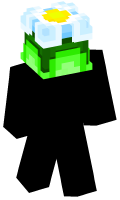 Skinfile