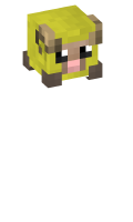 Skinfile