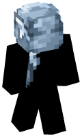 Skinfile