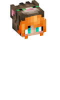 Skinfile