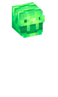 Skinfile