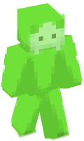 Skinfile
