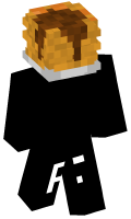 Skinfile