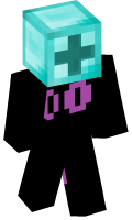 Skinfile