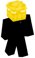 Skinfile