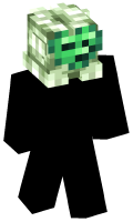 Skinfile